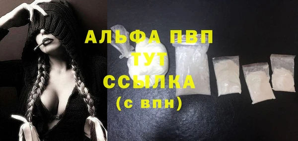 дурь Туринск