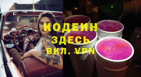 ГАЛЛЮЦИНОГЕННЫЕ ГРИБЫ Тайга