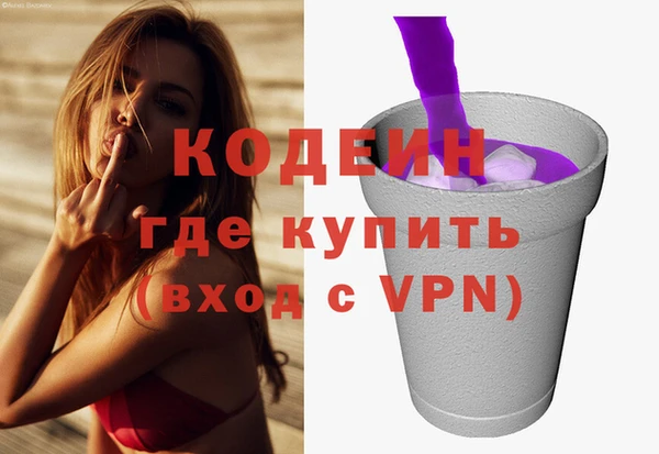 индика Сясьстрой