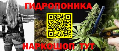 ПСИЛОЦИБИНОВЫЕ ГРИБЫ Кандалакша