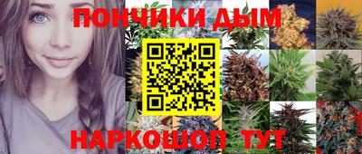 ПСИЛОЦИБИНОВЫЕ ГРИБЫ Кандалакша