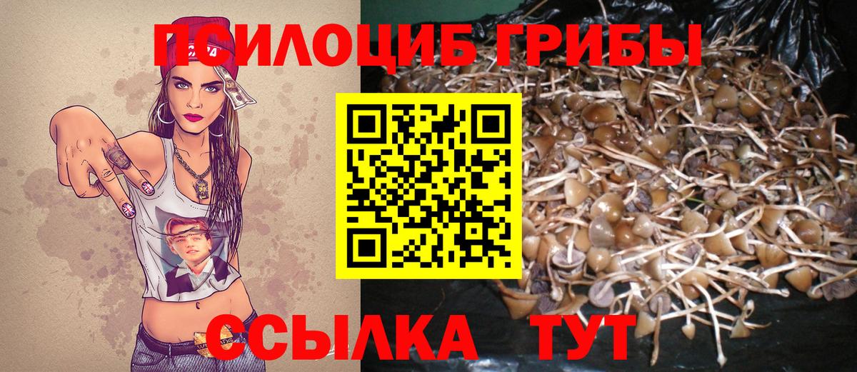 Галлюциногенные грибы Psilocybine cubensis Переславль-Залесский